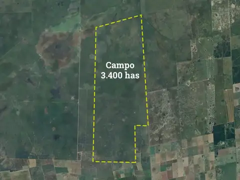 Campo en Selva
