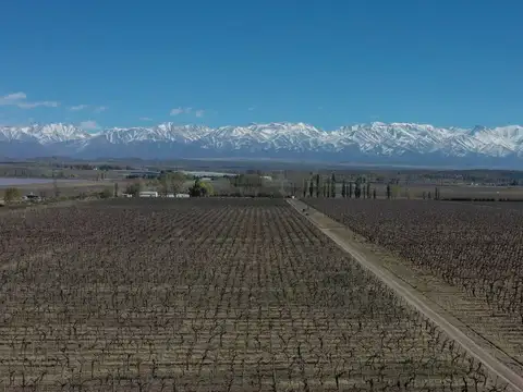 ruta provincial 99 100