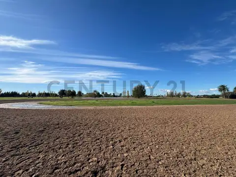 CABALLERIZAS DE POLO CON 3 DEPARTAMENTOS