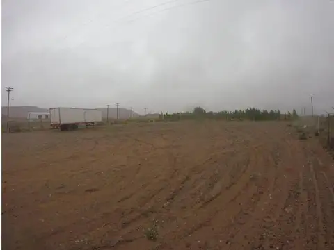 Terreno en Alquiler en Rincon de los Sauces, USD 4.500