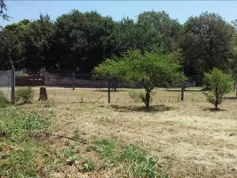 Quebracho Colorado