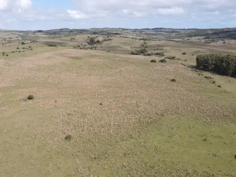 Campo de 26ha en Garzón, Maldonado