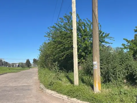 Los Patos
