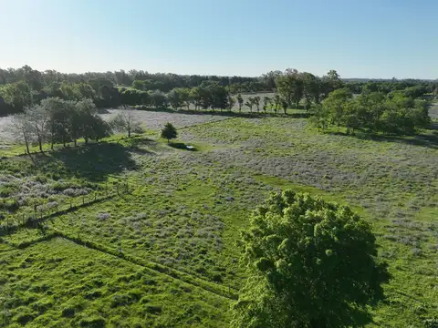 Campo en Venta Agricola