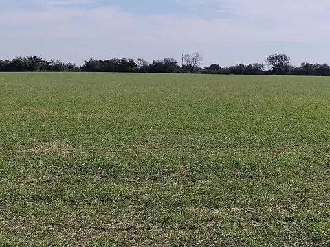 224 hectareas en Puerto Algarrobo