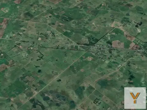 Camino Udaondo