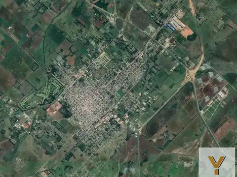 Camino Udaondo