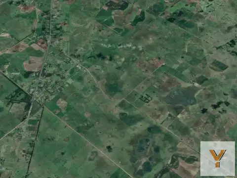 Campo en venta - Casa - 248Ha - Cañuelas