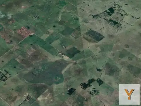 Campo en venta - Casa - 248Ha - Cañuelas