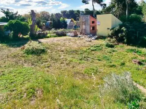 Punta Mogotes 2100
