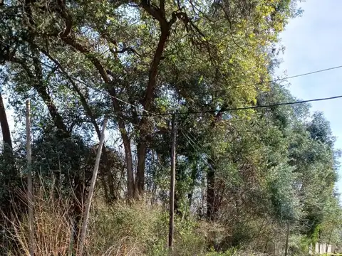 Ruta 2 Km 52