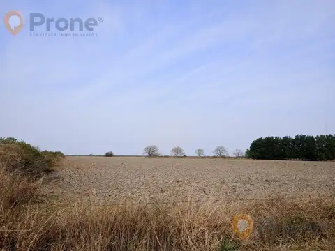 Campo en San Justo