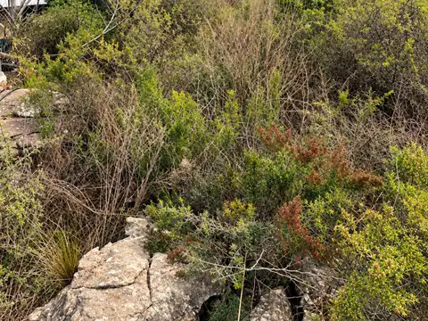Terreno en Venta en Huerta Grande, USD 11.000