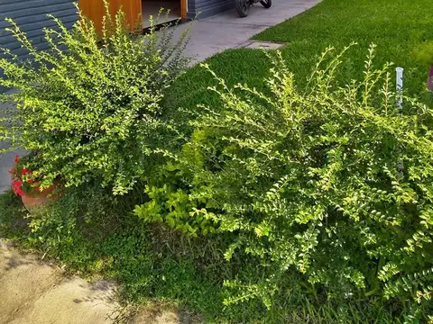 DUPLEX EN VENTA - BARRIO PRIVADO COMPLEJO HOLMBERG