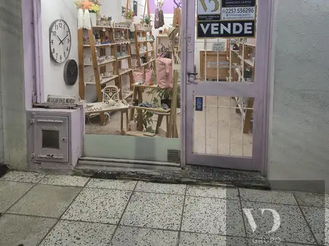 Chiozza al 1800