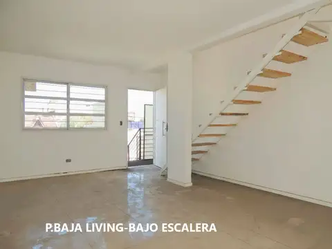 Larrea 3000