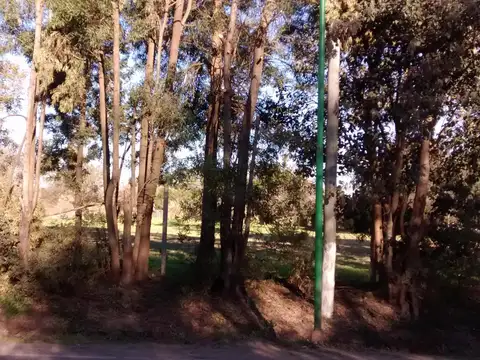 Terreno en Venta de 1000,0 m2