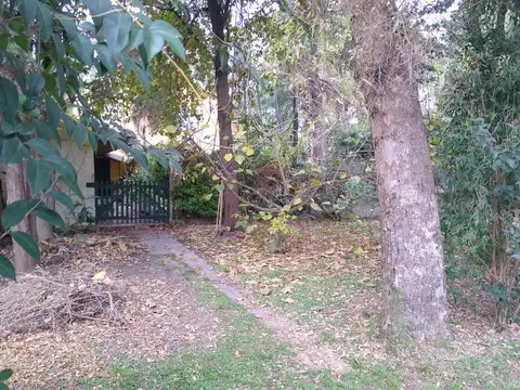 Terreno en Venta 51  mts Fondo