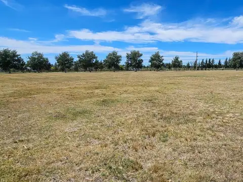 Terreno en Venta en Fincas de San Vicente, USD 39.000