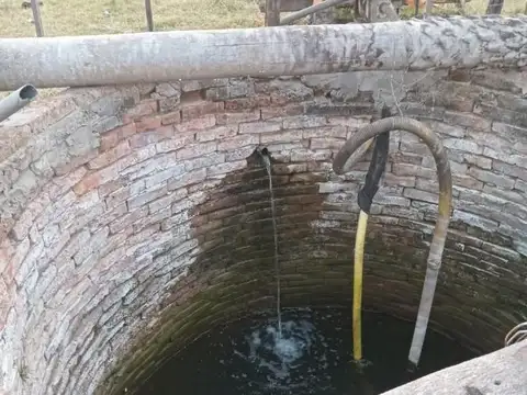 Alquiler, 500 hectáreas, Agroganadero, Villa Angela, Chaco