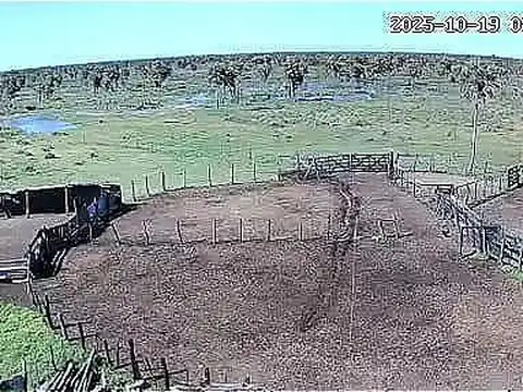 Alquiler, 500 hectáreas, Agroganadero, Villa Angela, Chaco