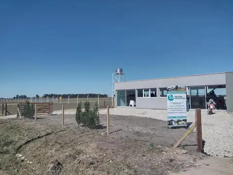 Arroyos De San Vicente
