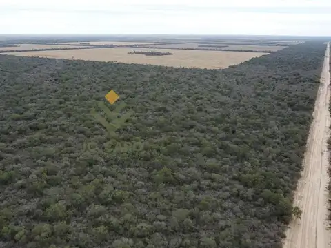 Campo Argentino