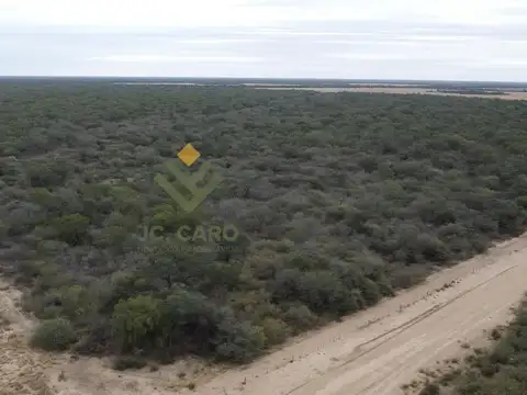Campo Argentino