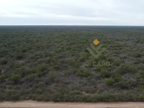 9.000 Has en Venta con Permiso de Desmonte
