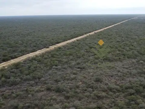 Campo Argentino