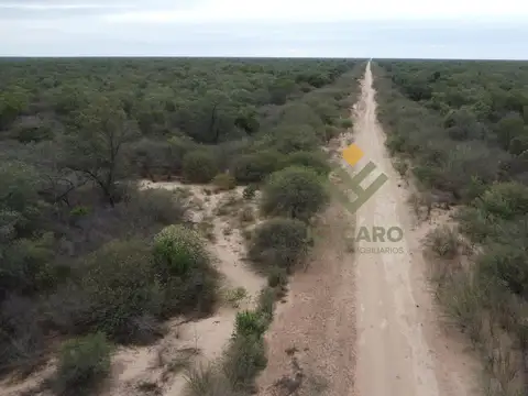 Campo Argentino