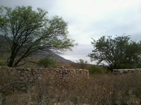 Puesto ASHA