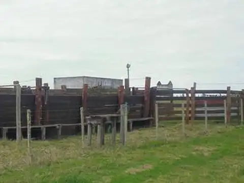 Campo en Venta Agricola