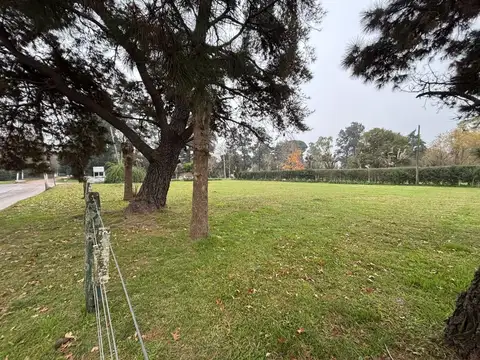 Terreno - 20 De Junio - excelente ubicación- asfalto - amplio
