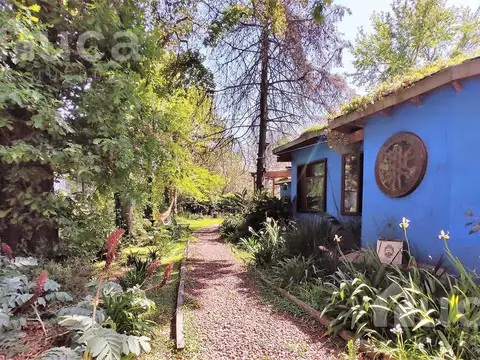 ALQ VERANO  Fin de Año y Enero | BELLISIMA CASA con Jardin y Pileta La Bota Ing Maschwitz
