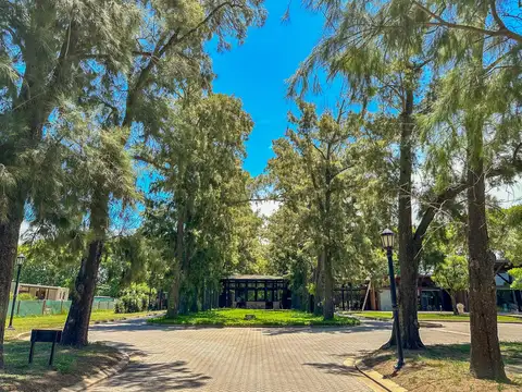 AZHARES DEL PARANÁ BARRIO LAS RAÍCES