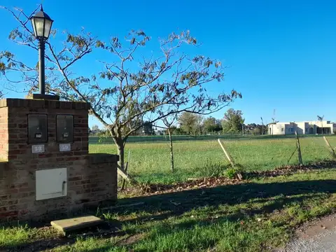 Ruta 6 km 155