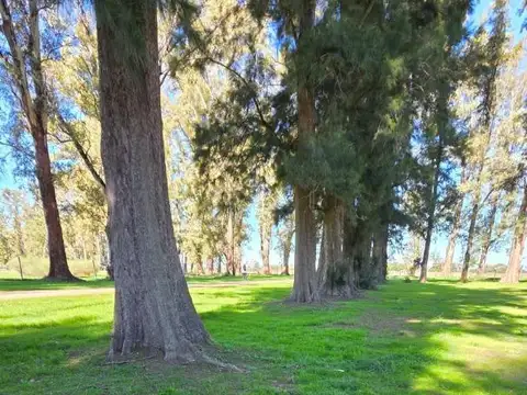 Venta Lote  Barrio Tres Pinos "Barrio Polo" Gral Rodriguez