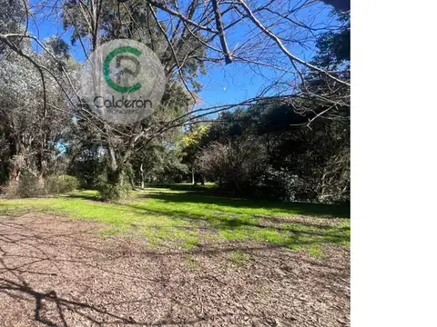 Quinta en Venta en Francisco Álvarez, USD 160.000