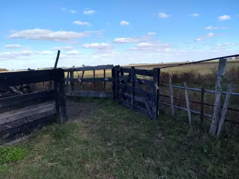 Campo en Venta con Alambrado