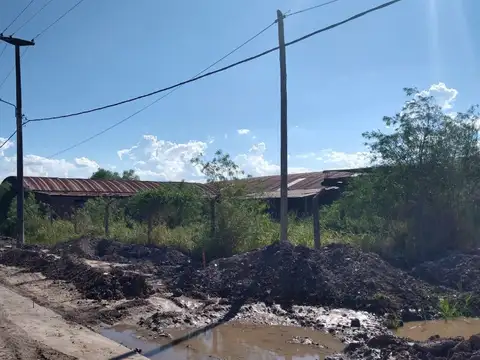 C. Los Andes y Lago Nahuel Huapi 100