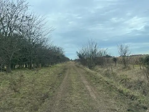 LOBOS, ESTACION EMPALME