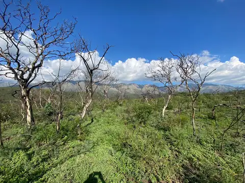 Fracción de 4 hectáreas en Corralito - Valle de Traslasierras