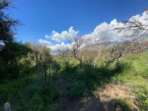 Camino público Loma Bola