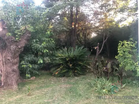 Local en Venta en Ruta 28, USD 225.000