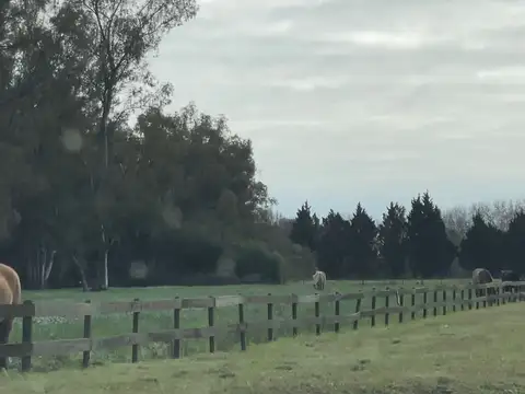 Terreno en Venta de 20285,0 m2