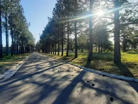 Terreno en Venta en Barrio Nueva Zelaya, USD 31.500