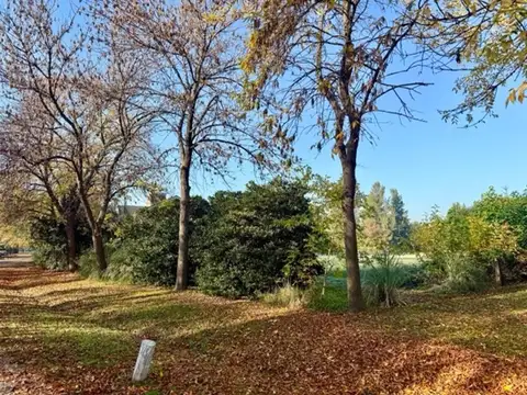 Terreno En Venta En Club De Campo San Francisco Manzanares
