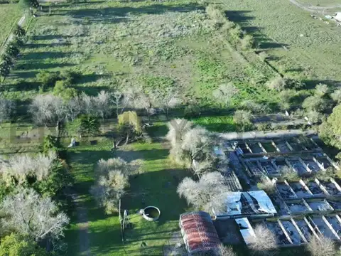 VENTA – CHACRA DE 8 HECTÁREAS PARQUIZADAS EN MAGDALENA