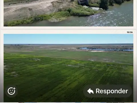 Campo de 875 has. en Venta - en Guardia Mitre Pcia de Río Negro